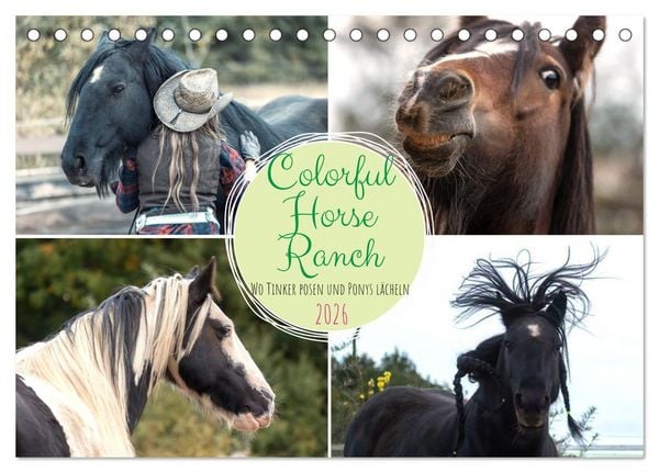 Colorful Horse Ranch – Wo Tinker posen und Ponys lächeln (Tischkalender 2026 DIN A5 quer), CALVENDO Monatskalender