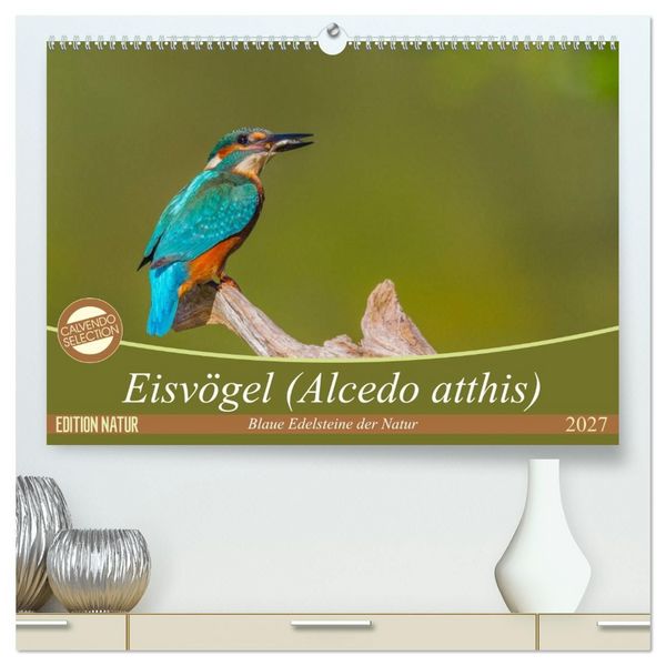 Eisvögel (Alcedo atthis) - Edelsteine der Natur (hochwertiger Premium Wandkalender 2027 DIN A2 quer), Kunstdruck in Hochglanz