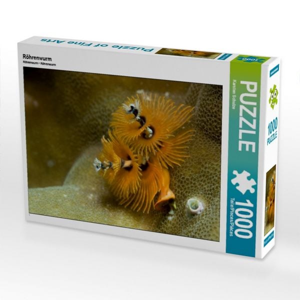 CALVENDO Puzzle Röhrenwurm 1000 Teile Puzzle quer 1000 Teile Lege-Größe 64 × 48 cm Foto-Puzzle für glückliche Stunden