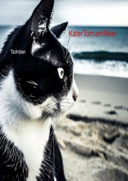 Kater Tom / Kater Tom am Meer