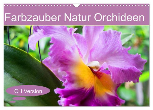 Farbzauber Natur Orchideen - CH Version (Wandkalender 2026 DIN A3 quer), CALVENDO Monatskalender
