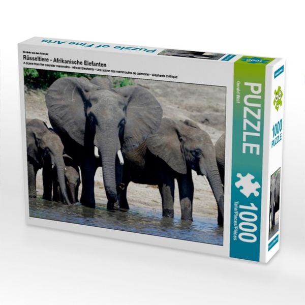 CALVENDO Puzzle Ein Motiv aus dem Kalender Rüsseltiere - Afrikanische Elefanten 1000 Teile Lege-Größe 64x48cm Foto-Puzzle für glückliche Stunden