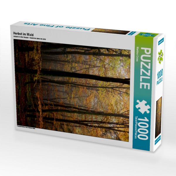 CALVENDO Puzzle Herbst im Wald 1000 Teile Puzzle hoch 1000 Teile Lege-Größe 64 × 48 cm Foto-Puzzle für glückliche Stunden