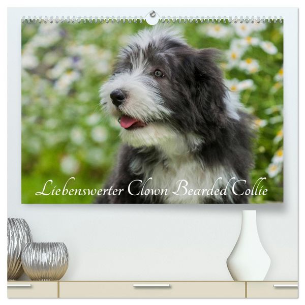 Liebenswerter Clown Bearded Collie (hochwertiger Premium Wandkalender 2026 DIN A2 quer), Kunstdruck in Hochglanz