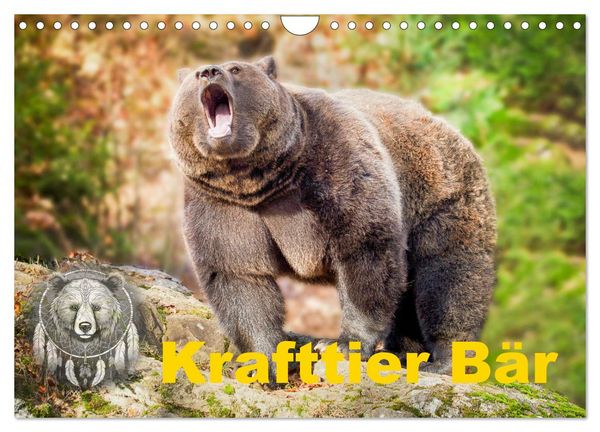 Krafttier Bär (Wandkalender 2026 DIN A4 quer), CALVENDO Monatskalender