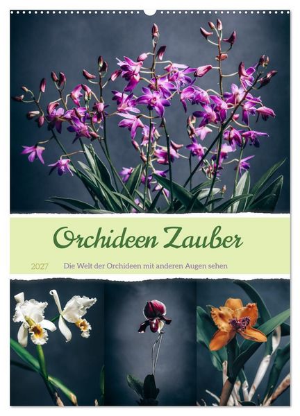 Orchideen Zauber (Wandkalender 2027 DIN A2 hoch), CALVENDO Monatskalender