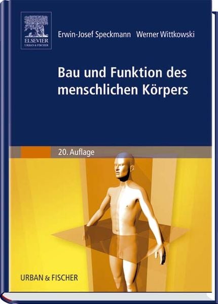 Speckmann: Bau/menschl. Körpers
