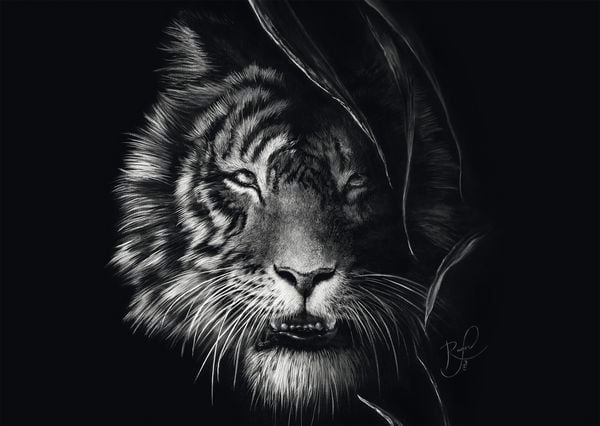 Wilderness, Tiger, Im Zeichen der Freiheit