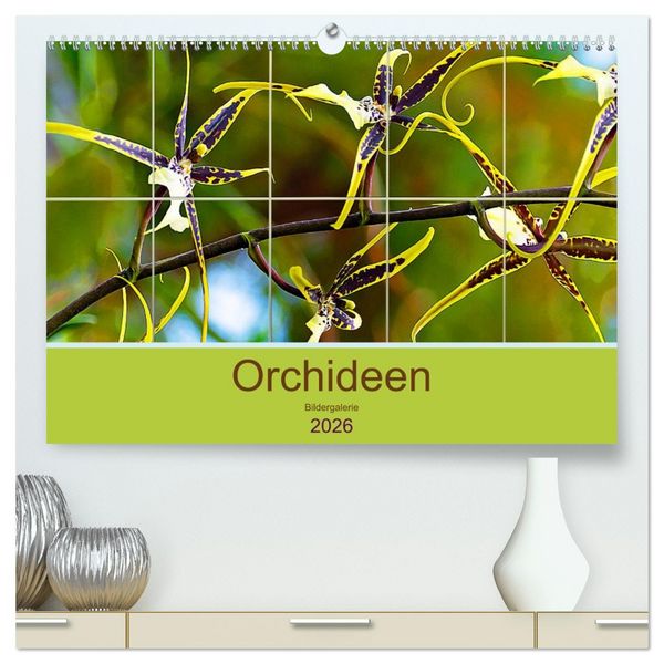 Orchideen Bildergalerie (hochwertiger Premium Wandkalender 2026 DIN A2 quer), Kunstdruck in Hochglanz
