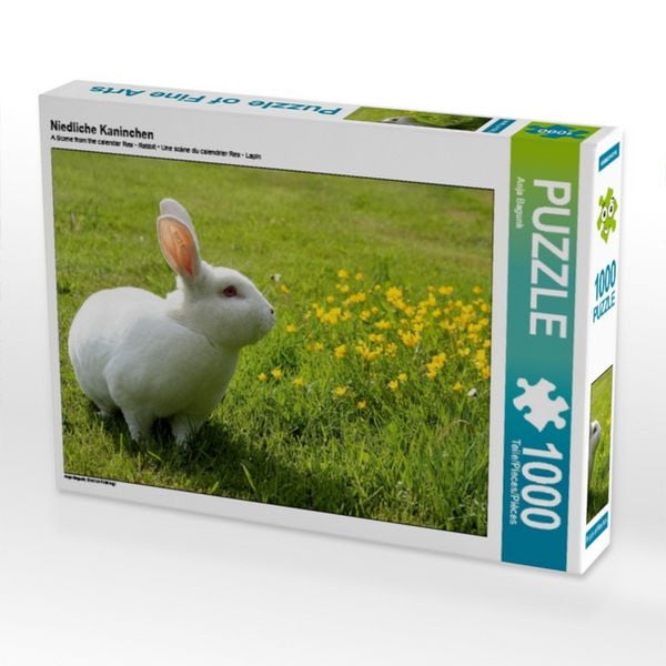 CALVENDO Puzzle Niedliche Kaninchen 1000 Teile Puzzle quer 1000 Teile Lege-Größe 64 × 48 cm Foto-Puzzle für glückliche Stunden