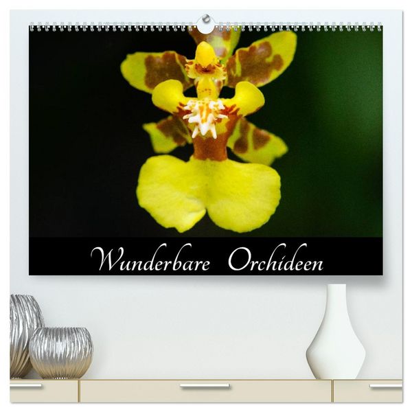 Wunderbare Orchideen (hochwertiger Premium Wandkalender 2026 DIN A2 quer), Kunstdruck in Hochglanz