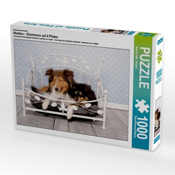 CALVENDO Puzzle Ein Motiv aus dem Kalender Shelties : Charmeure auf 4 Pfoten 1000 Teile Lege-Größe 64x48cm Foto-Puzzle für glückliche Stunden