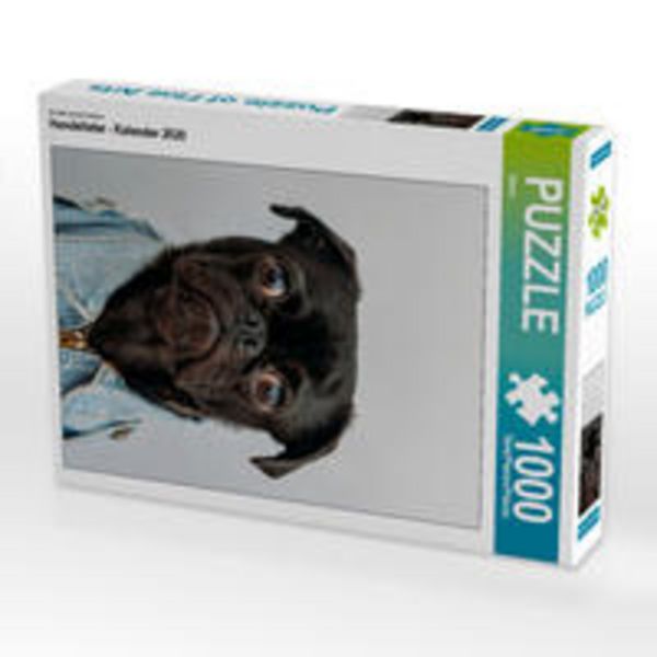 CALVENDO Puzzle Ein Motiv aus dem Kalender Hundeliebe - Kalender 2020 1000 Teile Lege-Größe 64x48cm Foto-Puzzle für glückliche Stunden