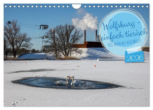 Wolfsburg - einfach tierisch (Wandkalender 2026 DIN A4 quer), CALVENDO Monatskalender