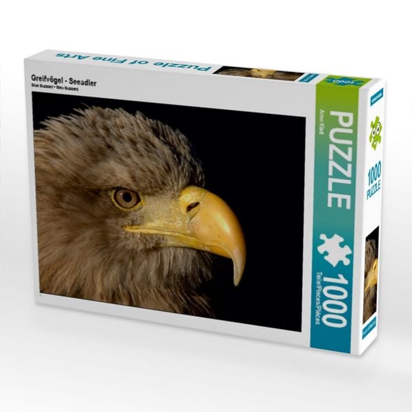 CALVENDO Puzzle Greifvögel - Seeadler 1000 Teile Lege-Größe 64x48cm Foto-Puzzle für glückliche Stunden