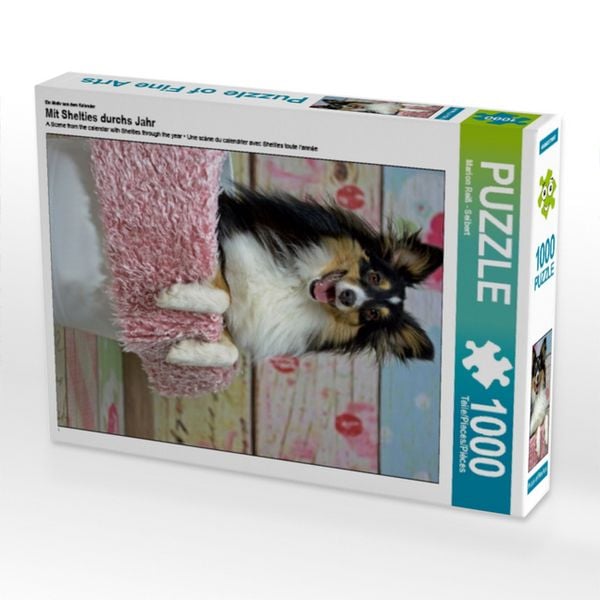 CALVENDO Puzzle Ein Motiv aus dem Kalender Mit Shelties durchs Jahr 1000 Teile Lege-Größe 64x48cm Foto-Puzzle für glückliche Stunden