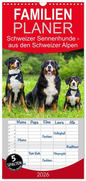 Familienplaner 2026 - Schweizer Sennenhunde - aus den Schweizer Alpen mit 5 Spalten (Wandkalender, 21 x 45 cm) CALVENDO