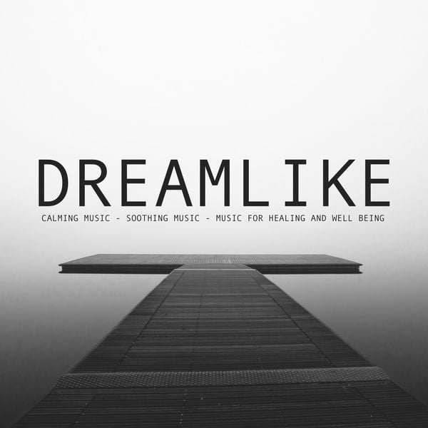 Calming Music Soothing Music Music For Healing And Well Being