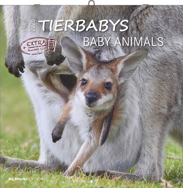 Alpha Edition - Tierbabys Kalender 2026 – Wandkalender 30×30 cm (30×60 geöffnet) als Broschürenkalender mit 12 Tiermotiven, Kalender mit Platz für Not