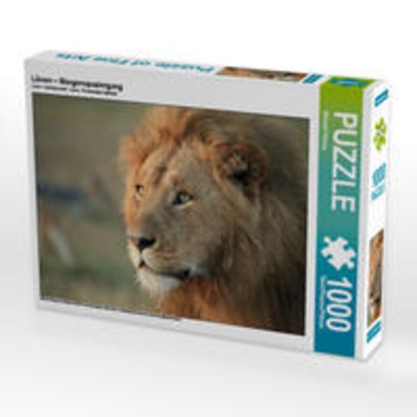 CALVENDO Puzzle Löwen – Morgenspaziergang 1000 Teile Lege-Größe 64 x 48 cm Foto-Puzzle Bild von Michael Herzog