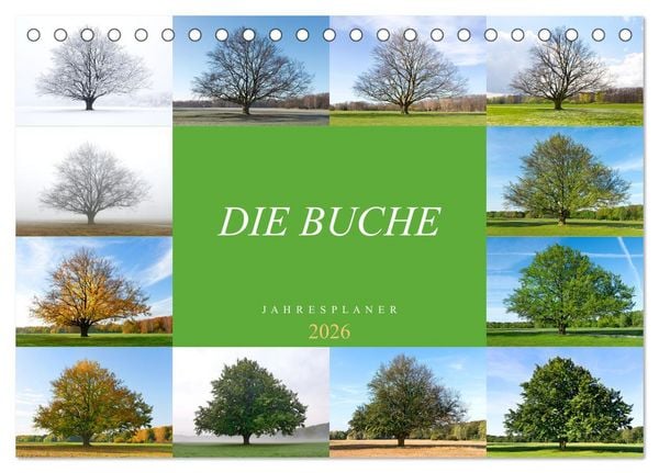 Die Buche: Jahresplaner 2026 (Tischkalender 2026 DIN A5 quer), CALVENDO Monatskalender