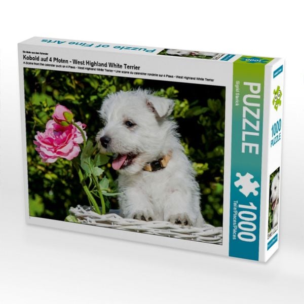 CALVENDO Puzzle Ein Motiv aus dem Kalender Kobold auf 4 Pfoten - West Highland White Terrier 1000 Teile Lege-Größe 64x48cm Foto-Puzzle für glückliche Stunden