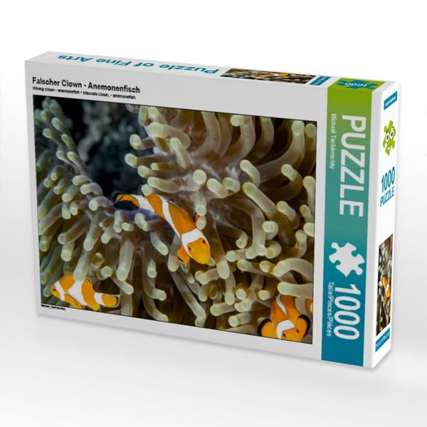 Falscher Clown - Anemonenfisch (Puzzle)