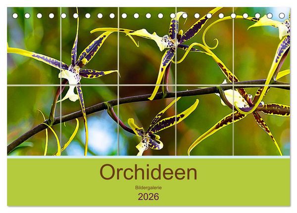 Orchideen Bildergalerie (Tischkalender 2026 DIN A5 quer), CALVENDO Monatskalender