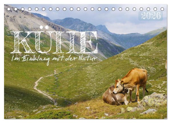 Kühe im Einklang mit der Natur (Tischkalender 2026 DIN A5 quer), CALVENDO Monatskalender