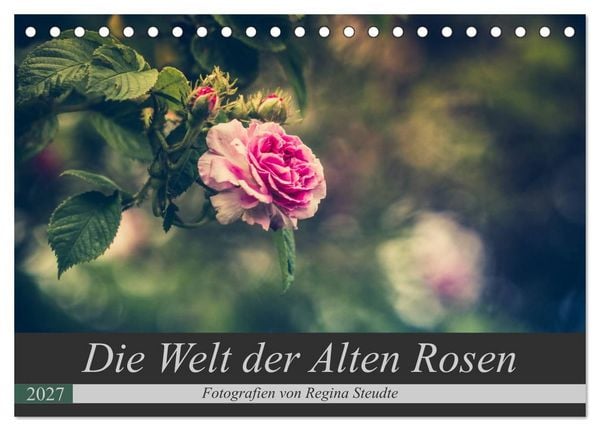 Die Welt der Alten Rosen (Tischkalender 2027 DIN A5 quer), CALVENDO Monatskalender