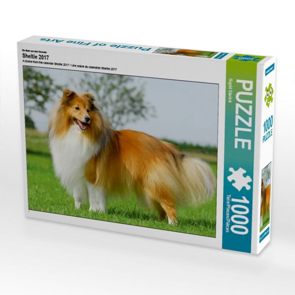 CALVENDO Puzzle Ein Motiv aus dem Kalender Sheltie 2017 1000 Teile Lege-Größe 64x48cm Foto-Puzzle für glückliche Stunden