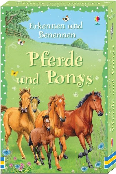 Erkennen und Benennen: Pferde und Ponys
