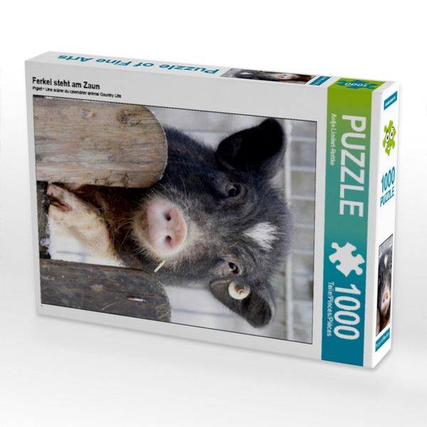 CALVENDO Puzzle Ferkel steht am Zaun 1000 Teile Lege-Größe 64x48cm Foto-Puzzle für glückliche Stunden