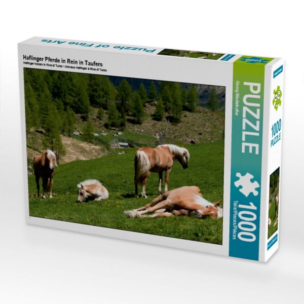 CALVENDO Puzzle Haflinger Pferde in Rein in Taufers 1000 Teile Lege-Größe 64x48cm Foto-Puzzle für glückliche Stunden