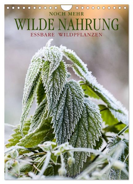 NOCH MEHR WILDE NAHRUNG (Wandkalender 2026 DIN A4 hoch), CALVENDO Monatskalender