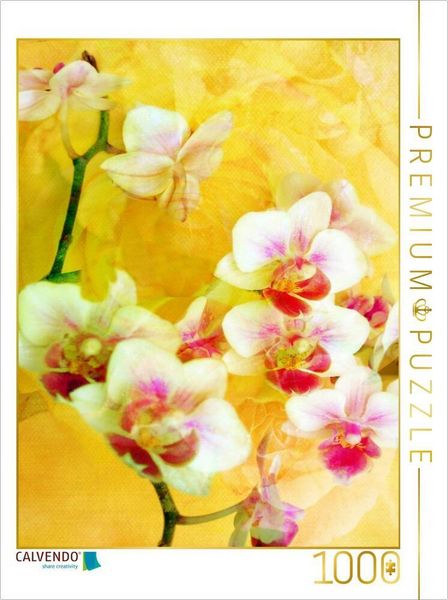 CALVENDO Puzzle Sonnige Orchideen 1000 Teile Lege-Größe 64x48cm Foto-Puzzle für glückliche Stunden