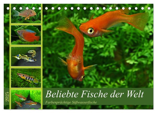 Beliebte Fische der Welt (Tischkalender 2025 DIN A5 quer), CALVENDO Monatskalender