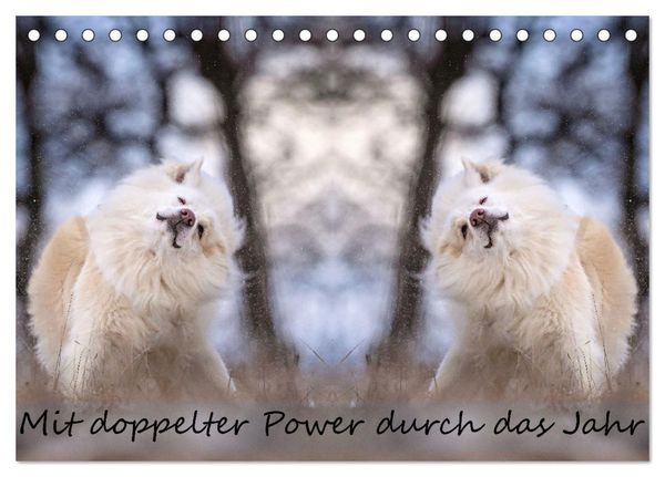 Mit doppelter Power durch das Jahr (Tischkalender 2026 DIN A5 quer), CALVENDO Monatskalender