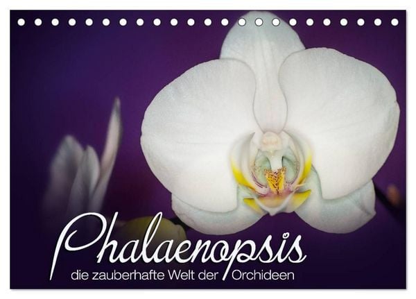 Phalaenopsis - die zauberhafte Welt der Orchideen (Tischkalender 2027 DIN A5 quer), CALVENDO Monatskalender