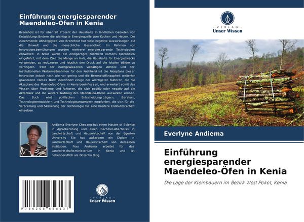 Einführung energiesparender Maendeleo-Öfen in Kenia
