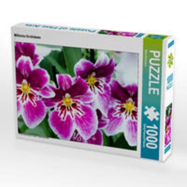 CALVENDO Puzzle Miltonia Orchideen 1000 Teile Lege-Größe 64x48cm Foto-Puzzle für glückliche Stunden