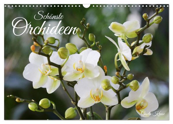Schönste Orchideen (Wandkalender 2026 DIN A3 quer), CALVENDO Monatskalender