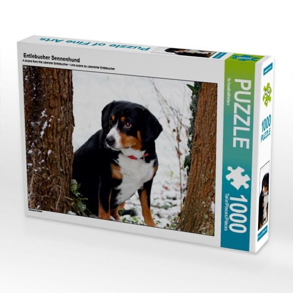 CALVENDO Puzzle Entlebucher Sennenhund 1000 Teile Lege-Größe 64x48cm Foto-Puzzle für glückliche Stunden