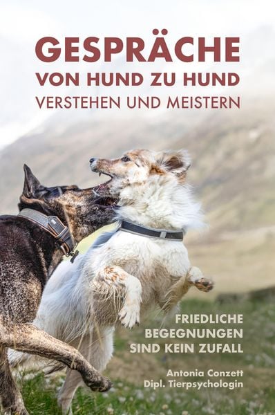 Gespräche von Hund zu Hund verstehen und meistern