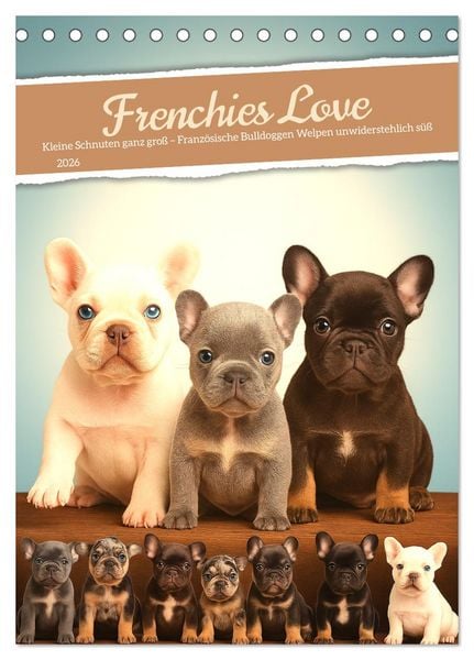 Frenchies Love – Kleine Schnuten ganz groß - Französische Bulldoggen Welpen unwiderstehlich süß (Tischkalender 2026 DIN A5 hoch), CALVENDO Monatskalender