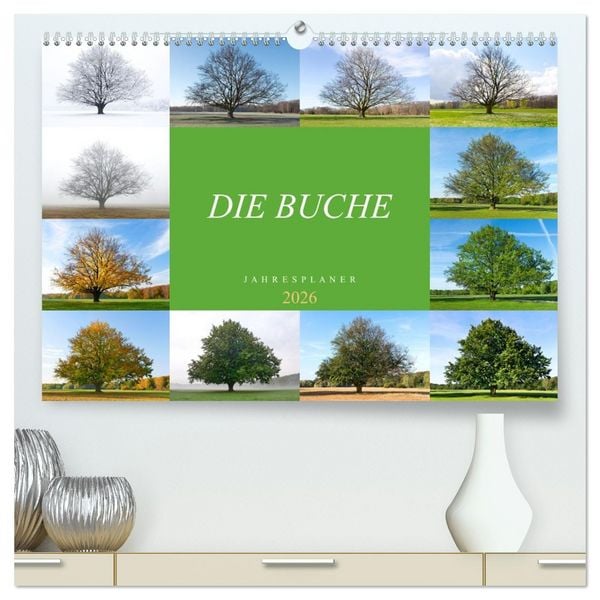 Die Buche: Jahresplaner 2026 (hochwertiger Premium Wandkalender 2026 DIN A2 quer), Kunstdruck in Hochglanz