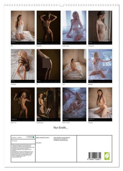 Nur Erotik... (hochwertiger Premium Wandkalender 2025 DIN A2 hoch), Kunstdruck in Hochglanz