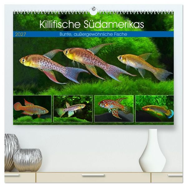 Killifische Südamerikas (hochwertiger Premium Wandkalender 2027 DIN A2 quer), Kunstdruck in Hochglanz