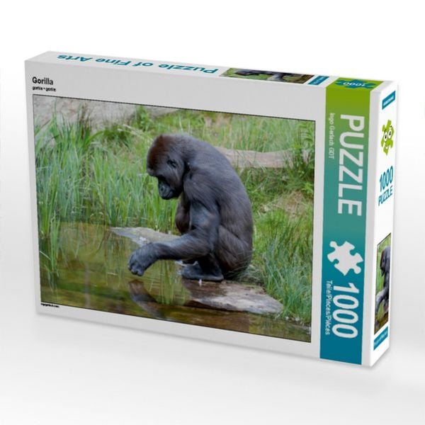 CALVENDO Puzzle Gorilla 1000 Teile Lege-Größe 64x48cm Foto-Puzzle für glückliche Stunden