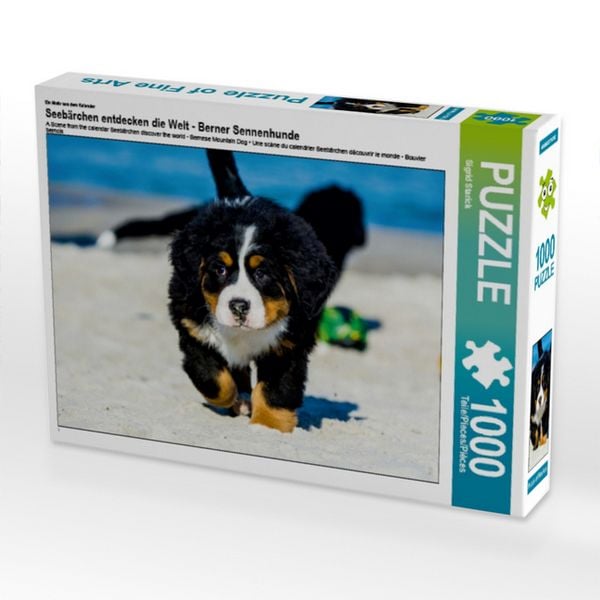CALVENDO Puzzle Ein Motiv aus dem Kalender Seebärchen entdecken die Welt - Berner Sennenhunde 1000 Teile Lege-Größe 64x48cm Foto-Puzzle für glückliche Stunden